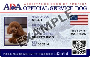 Service Dog ID Card