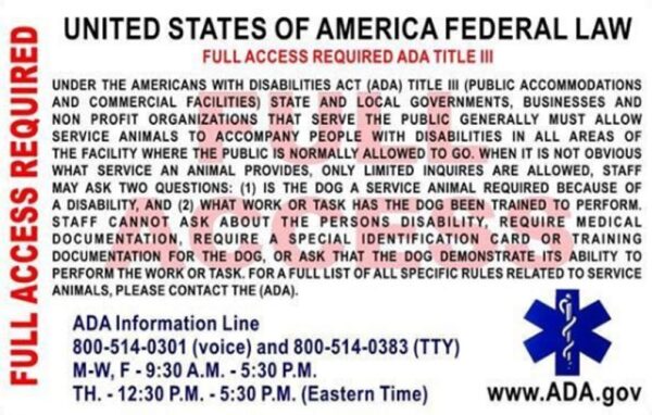 International Service Dog - Image 2