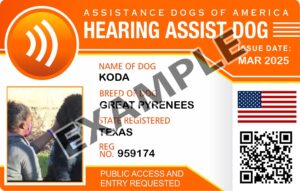 Hearing Assistance Dog