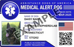 Medical Alert Dog