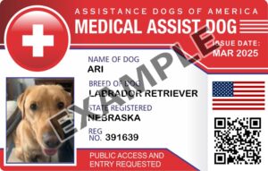Medical Assist Dog