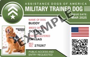 Military Trained Dog