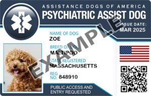 Psychiatric Assistance