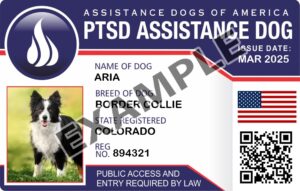 PTSD Assistance Dog