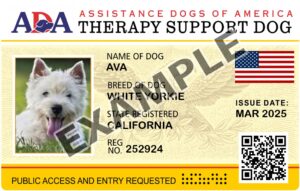 Therapy Dog ID Card