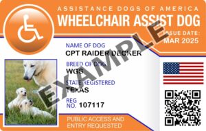 Wheel Chair Card