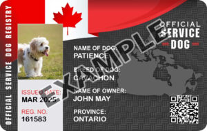 Canadian Service Dog