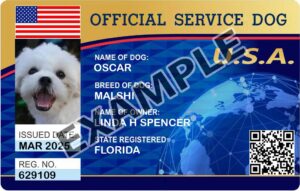 Service Dog ID Card