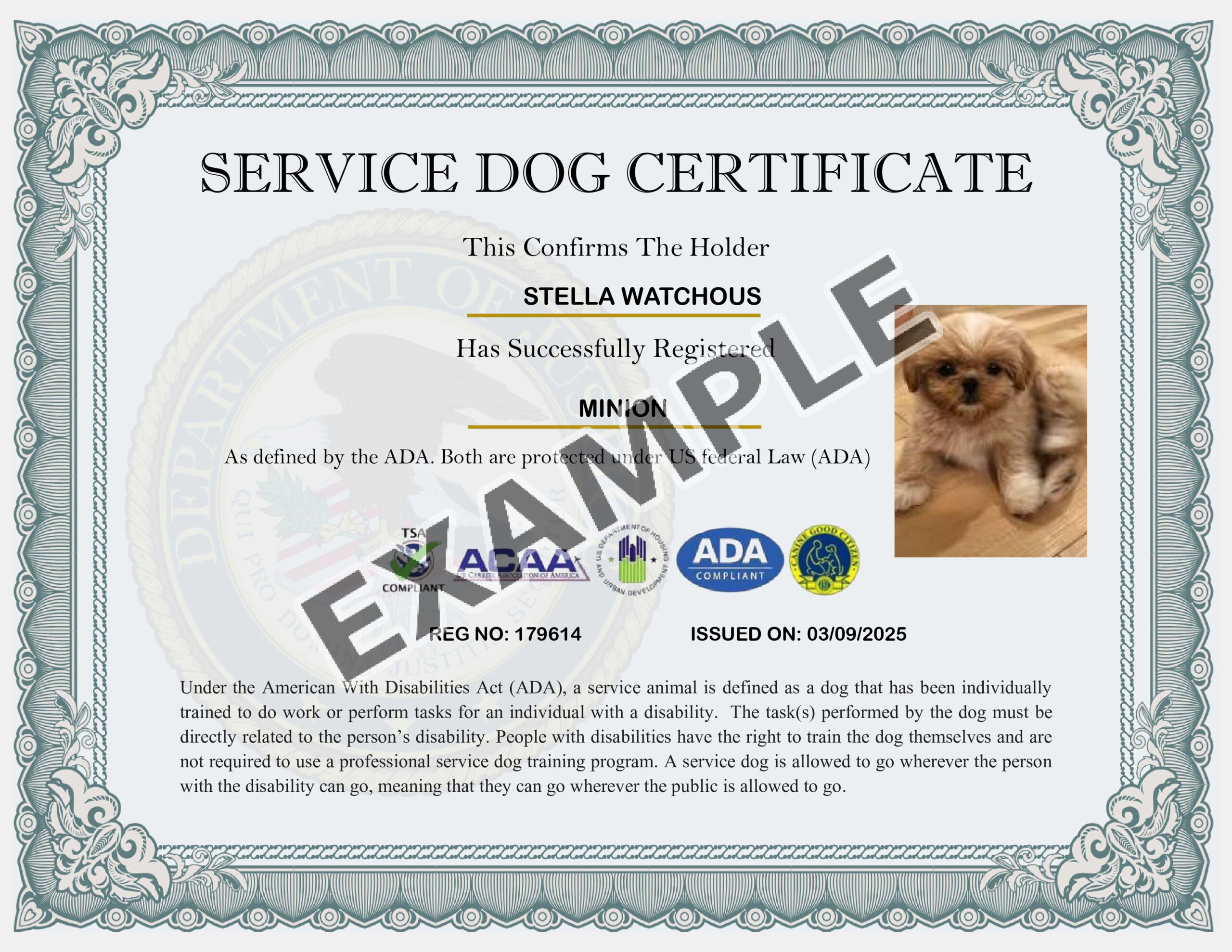 Custom USA Working Dog Certificate Assistance Dog Supplies Custom USA Working Dog Certificate Assistance Dog Supplies