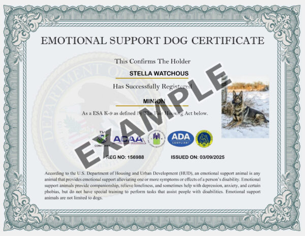 Support Dog Card - Image 3